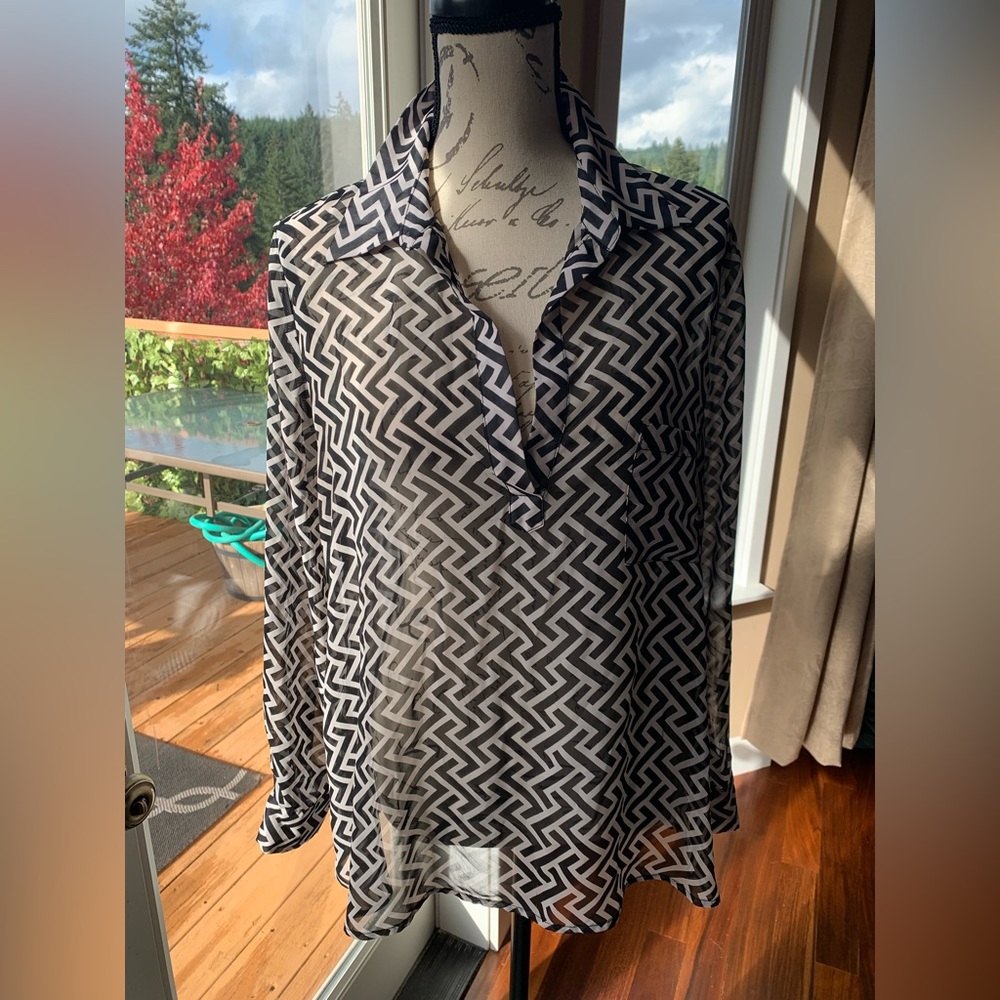 Sheer long sleeve blouse size M
